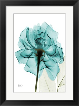 Framed Teal Spirit Rose Print