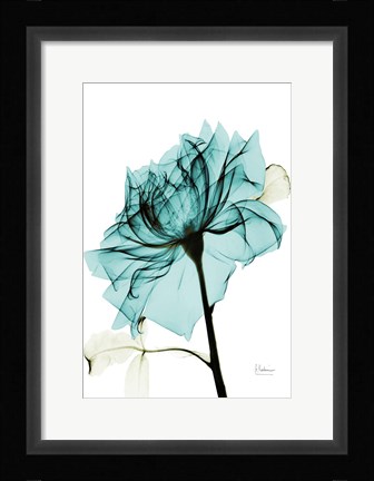 Framed Teal Spirit Rose 2 Print