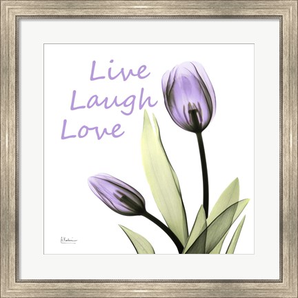 Framed Live Laugh Love Print