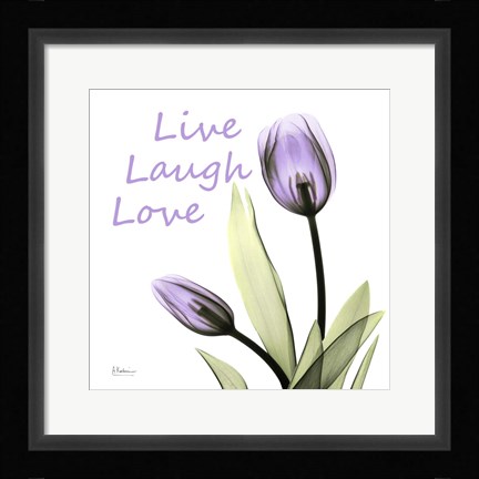 Framed Live Laugh Love Print