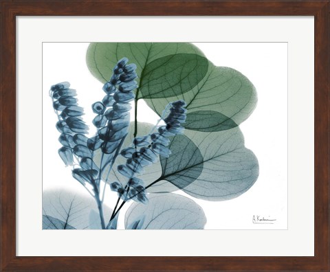 Framed Lilly of Eucalyptus Print