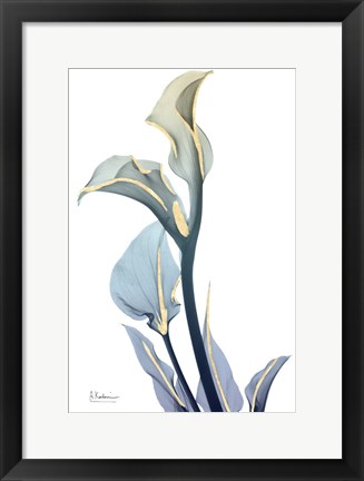 Framed Gold Splash Calla Lily Print