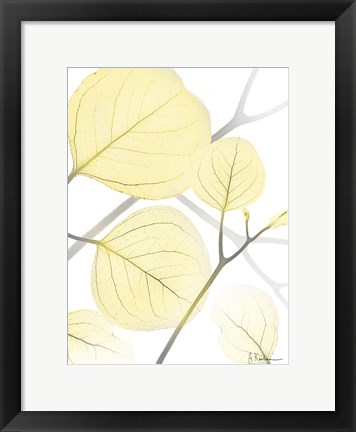 Framed Illuminated Eternity 1 Print