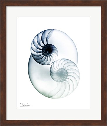 Framed Crystal Breeze 2 Print