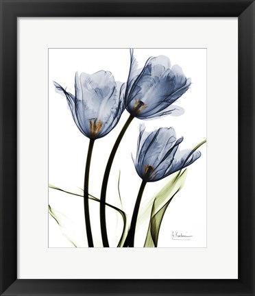 Framed Indigo Infused Tulips Print