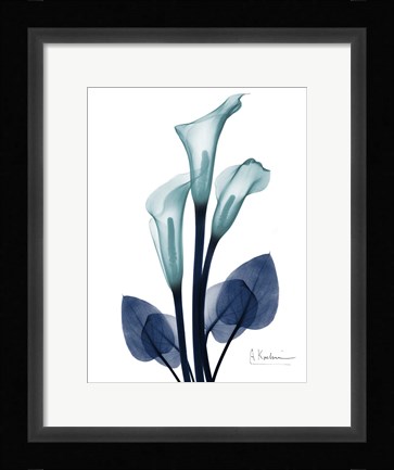 Framed Midnight Calla Lily 1 Print