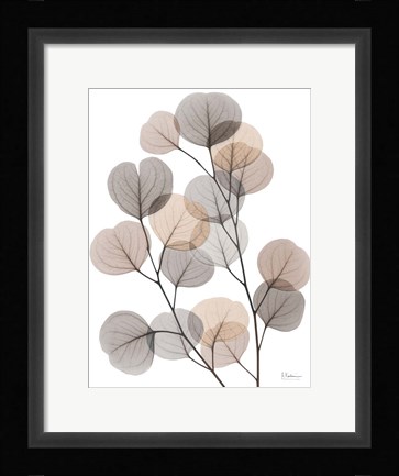 Framed Earthy Eucalyptus Bunch Print