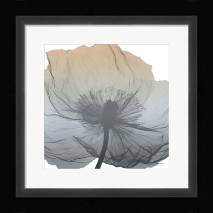Framed Poppy Earthy Beauty Print