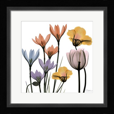 Framed Blissful Garden 1 Print