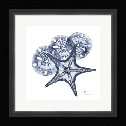 Framed Indigo Starfish and Sand Dollar Print