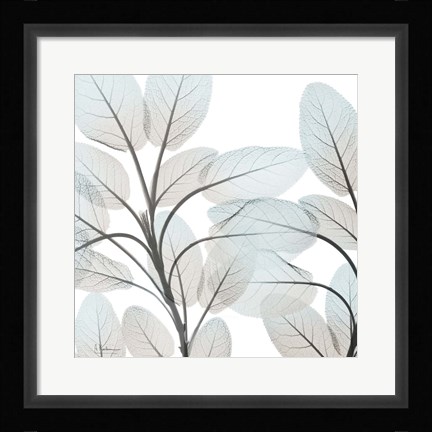 Framed Sandy Blooms 1 Print