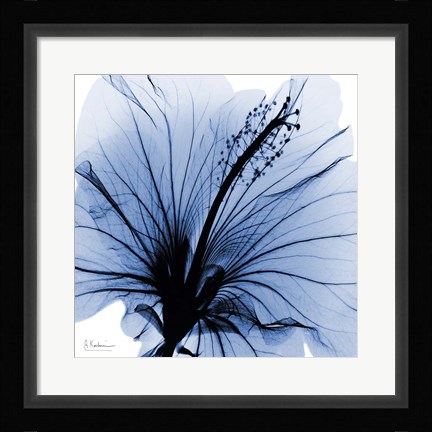 Framed Indigo Hibiscus Turn Print