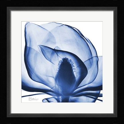 Framed Indigo Magnolia Print
