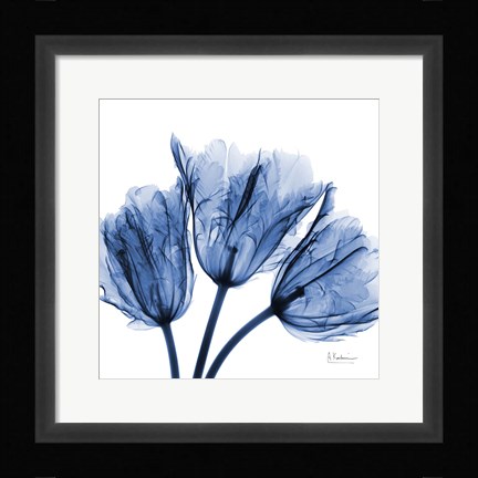 Framed Indigo Stunning Tulips Print