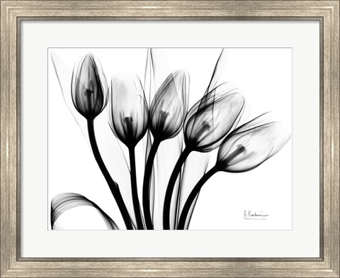 Framed Marching Tulips Print