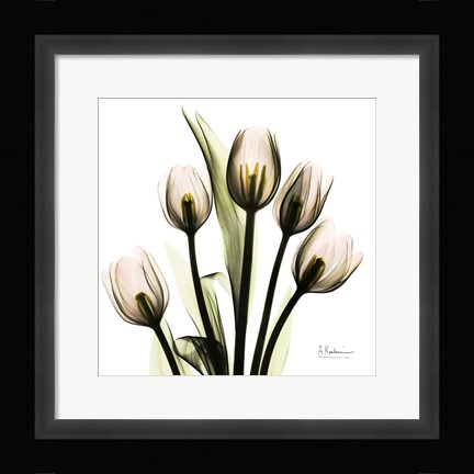Framed Tulip Print
