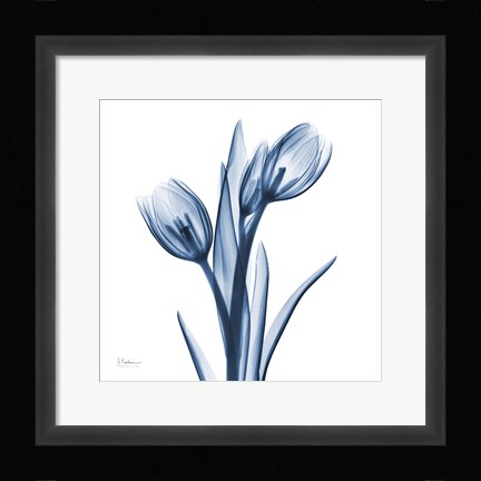 Framed Tulips Indigo Print