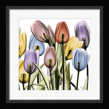 Framed Tulipscape Print