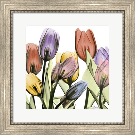 Framed Tulipscape 2 Print