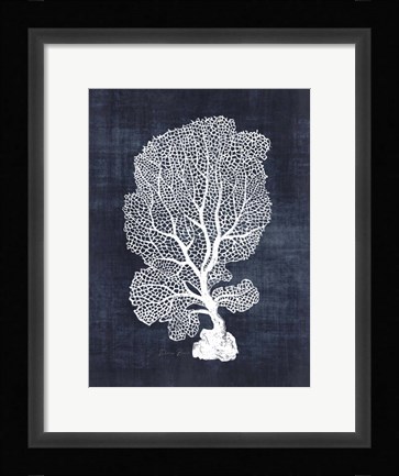 Framed Sea Fan 1 Print