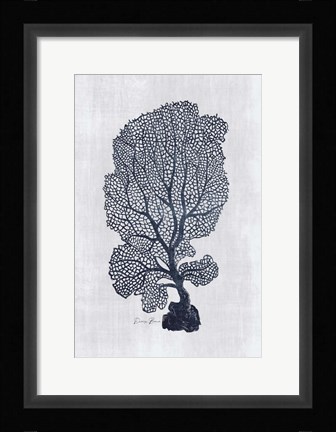 Framed Sea Fan 2 Print