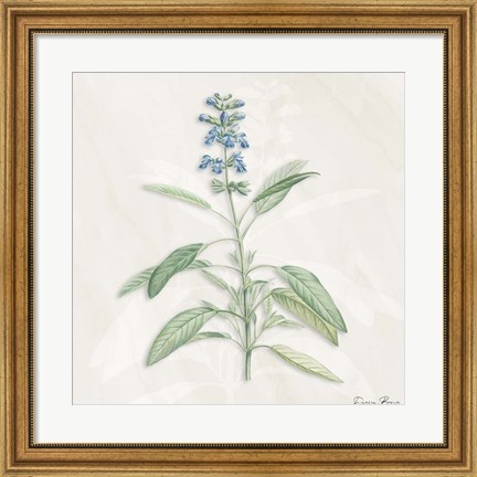 Framed Blue Botanical 1 Print