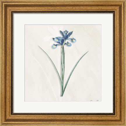 Framed Blue Botanical 2 Print
