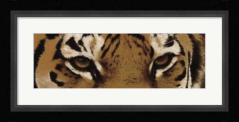 Framed Tiger Eyes Print