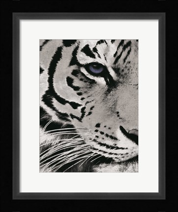 Framed Tiger Purple Eye Print