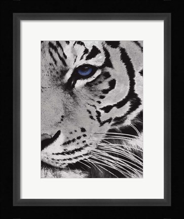 Framed Tiger Purple Eye 2 Print