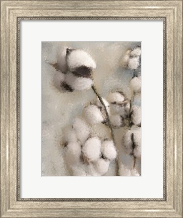 Framed Sprays of Cotton 2 Print