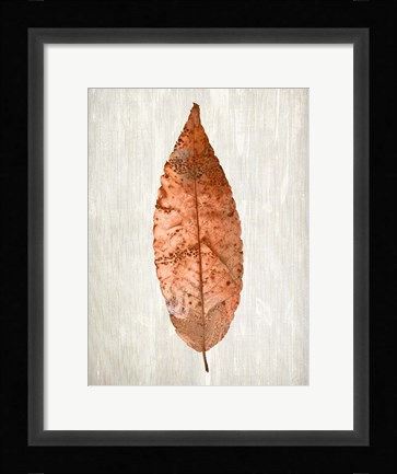Framed Copper Leaves 1 Print