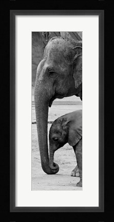 Framed Mothers Love Print