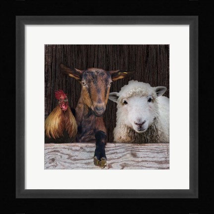 Framed Farm Life Print