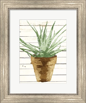 Framed Wood Plant Pot Print