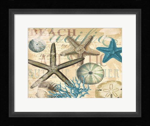 Framed Beach Shells Print