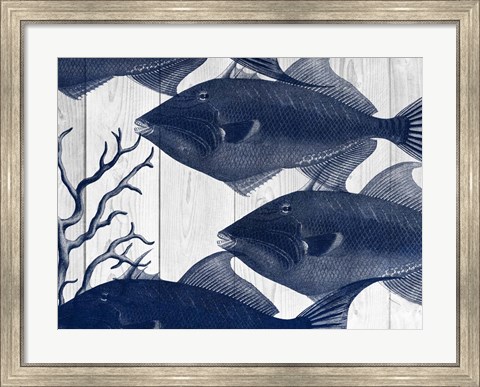 Framed Blue Fish Print