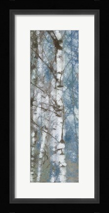 Framed Birch Scape 2 Print