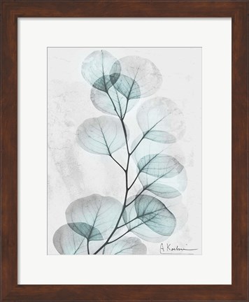 Framed Eucalyptus Glow 3 Print