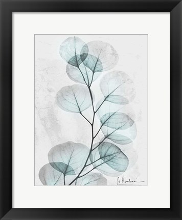 Framed Eucalyptus Glow 3 Print