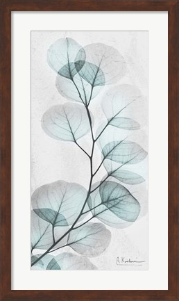 Framed Eucalyptus Glow 1 Print