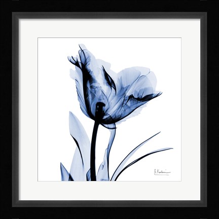 Framed Indigo Softened Tulip Print