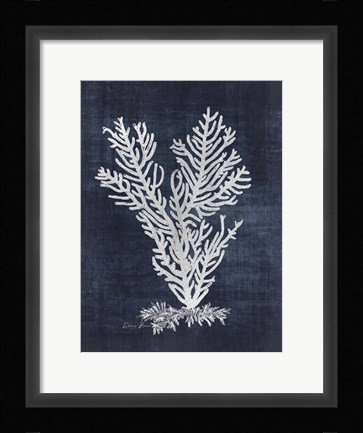 Framed Sea Fan 2 Print