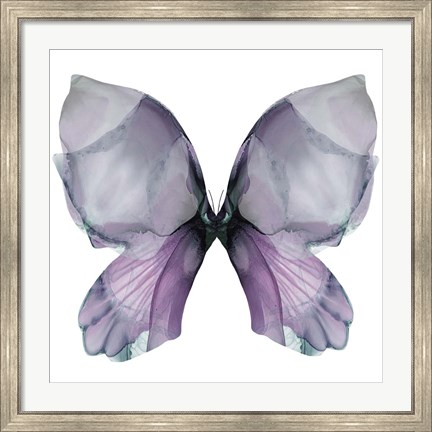Framed Floral Butterfly 3 Print