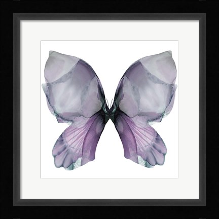 Framed Floral Butterfly 3 Print