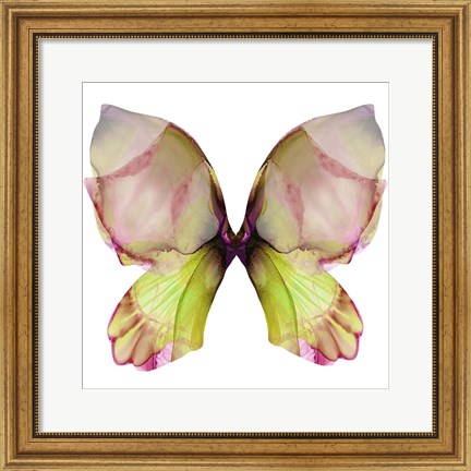 Framed Floral Butterfly 2 Print