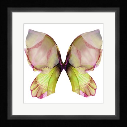 Framed Floral Butterfly 2 Print