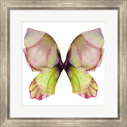 Framed Floral Butterfly 2 Print