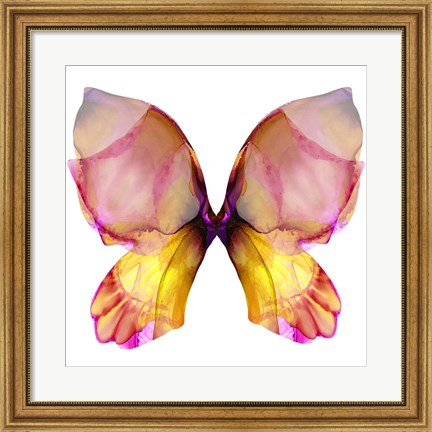 Framed Floral Butterfly 4 Print
