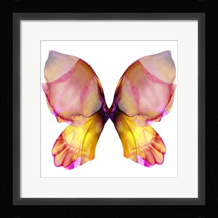 Framed Floral Butterfly 4 Print